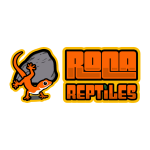 ROCA REPTILES